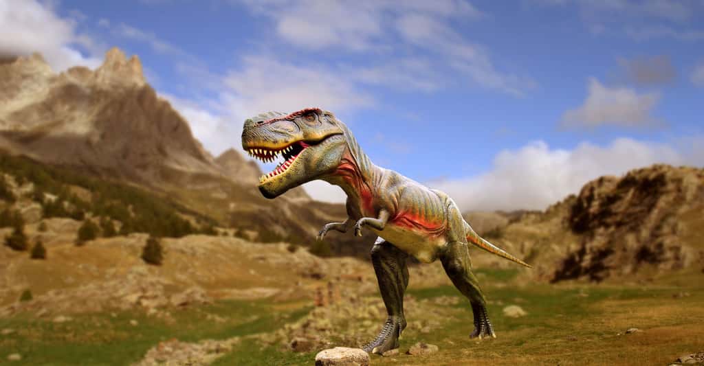 Le rapport isotopique de l'oxygène permet d'en savoir plus sur les dinosaures. Ici,Tyrannosaurus Rex.© Marcel Kunkel, CC by-sa 4.0