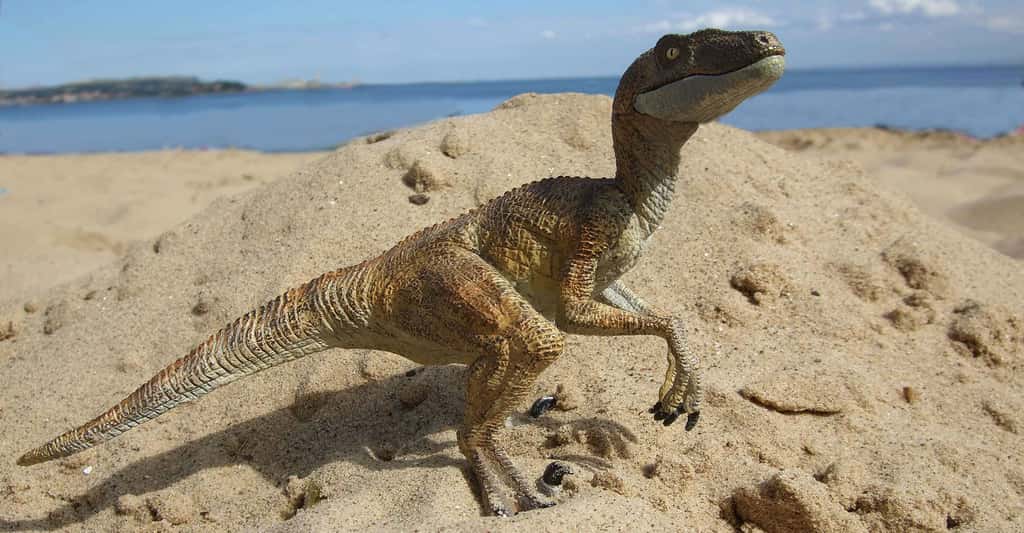 Comment faire pour mesurer la composition isotopique de l'oxygène d'un fossile de dinosaure ? © Mr. Evil Cheese Scientist, CC by-nc 2.0