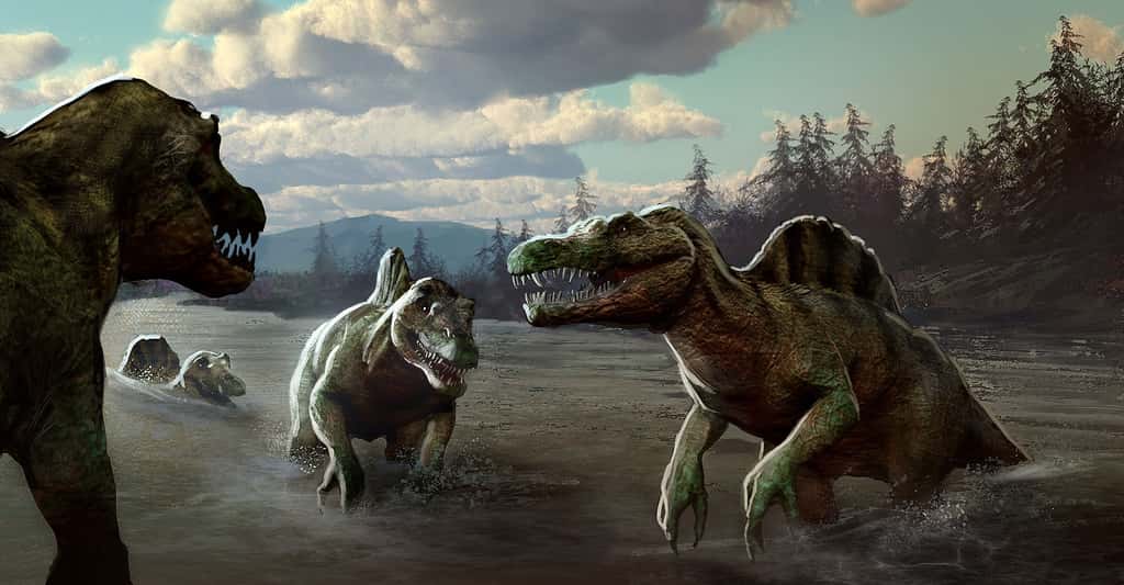 Le spinosaure est un dinosaure semi-aquatique. Les paléontologues le savent grâce à l'analyse isotopique de l'oxygène. © Marc Simonetti, CNRS