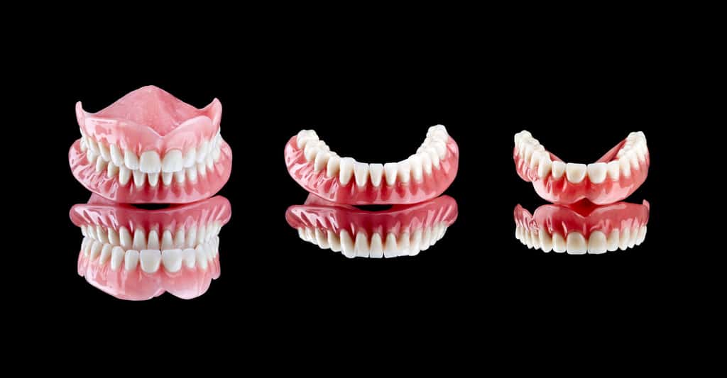 Prothèses dentaires amovibles. © Marcosrivero, Fotolia 