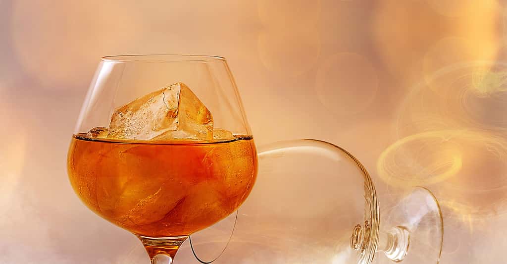 Les dépendances à l'alcool. © Pezibear, Pixabay, DP