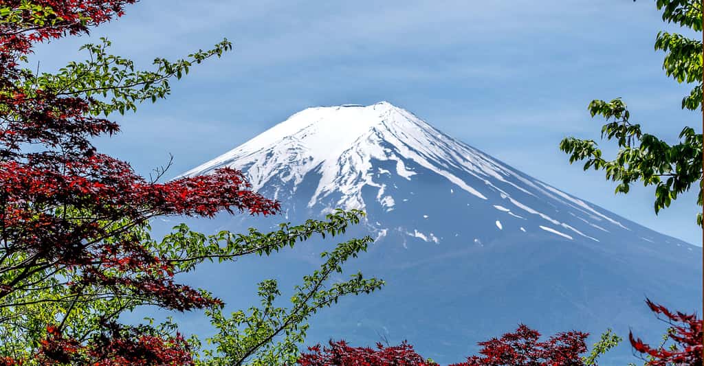 Le mont Fuji avec son sommet enneigé. © Oadtz, CCO