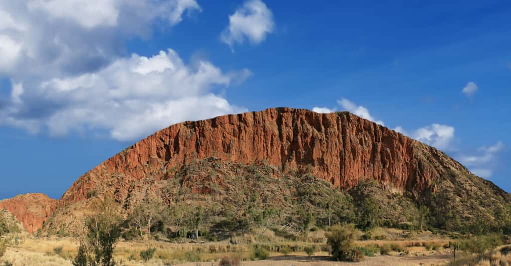 Australie : Alice Springs et les monts MacDonnell