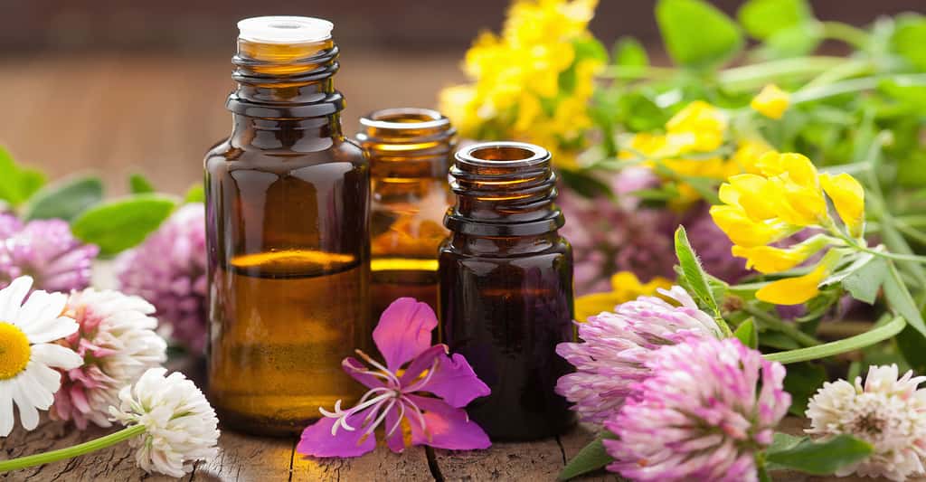 Les huiles essentielles peuvent-elles être utilisées comme traitement contre l'acné ? © Olga Miltsova, Shutterstock