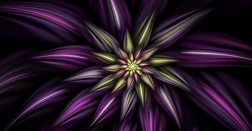 Fleur fractale. © BarbaraALane - Domaine public