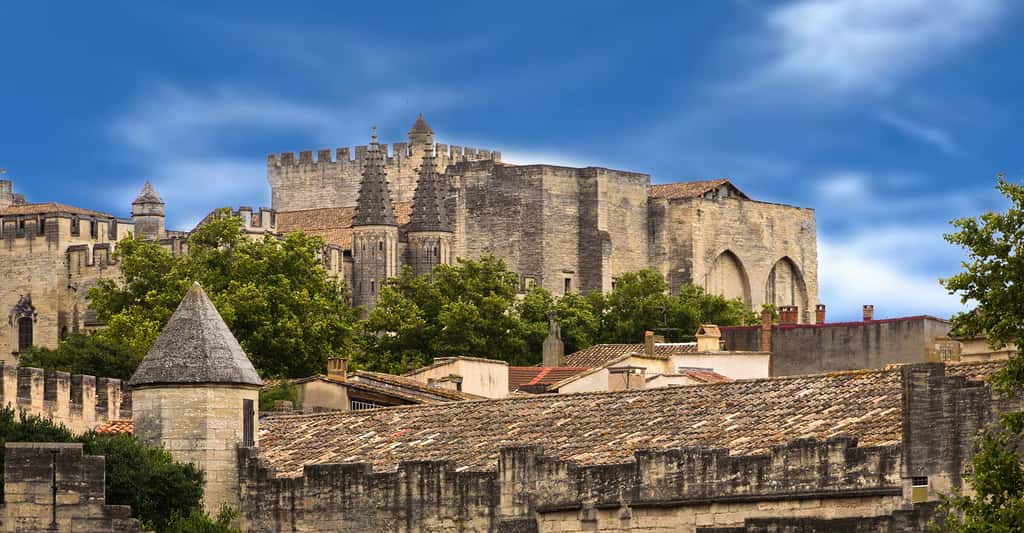 Palais des Papes vue de la ville à Avignon. © AudreyH, Flickr, CC by-nc 2.0