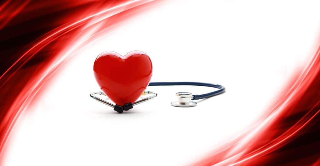 Quel est le fonctionnement du cœur ? © Sheff, Shutterstock