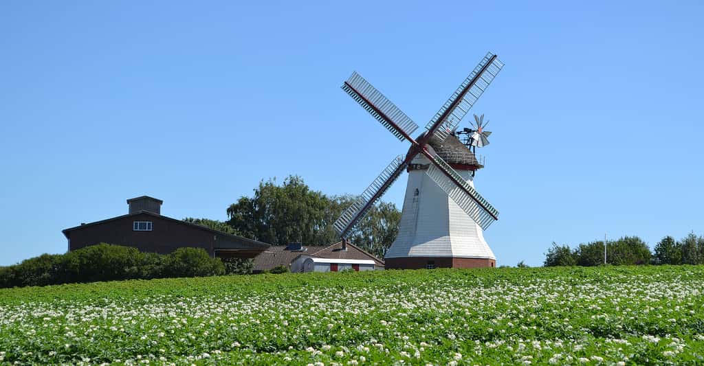À voir dans le Lot-et-Garonne : moulins et musées
