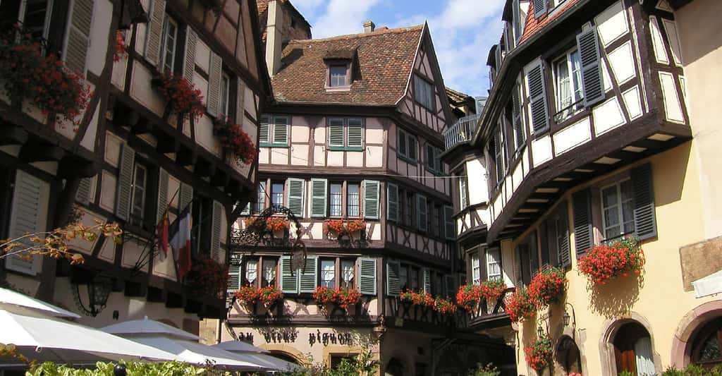 Le ville de Colmar. © Timo Newton-Syms, Flickr, CC by-nc 2.0