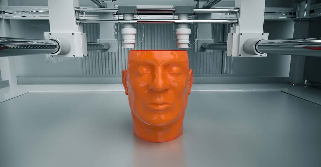 Tête humaine imprimée en 3D. © Dabarti CGI, Shutterstock