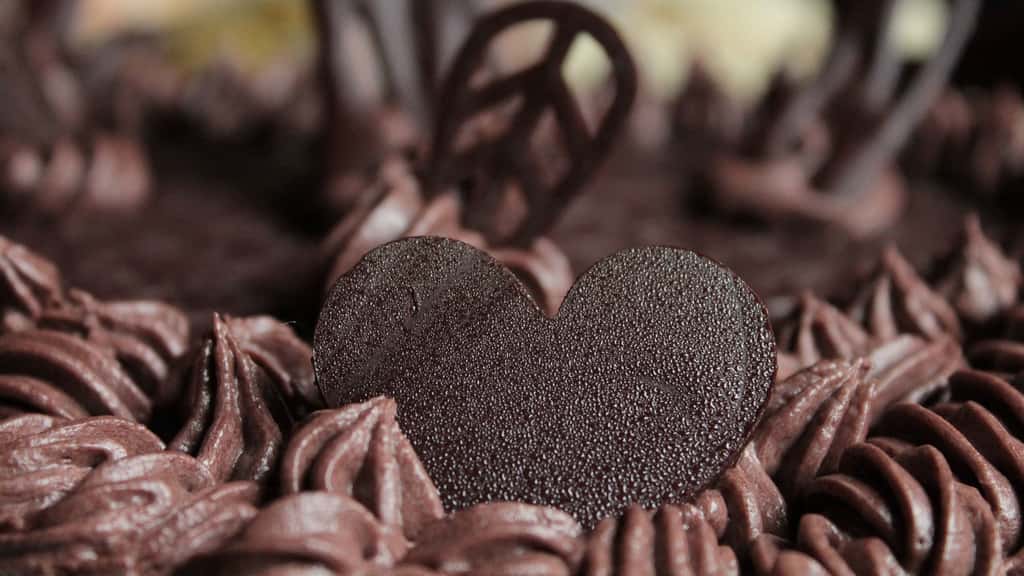 Composition du chocolat : matières grasses végétales, lécithine et OGM