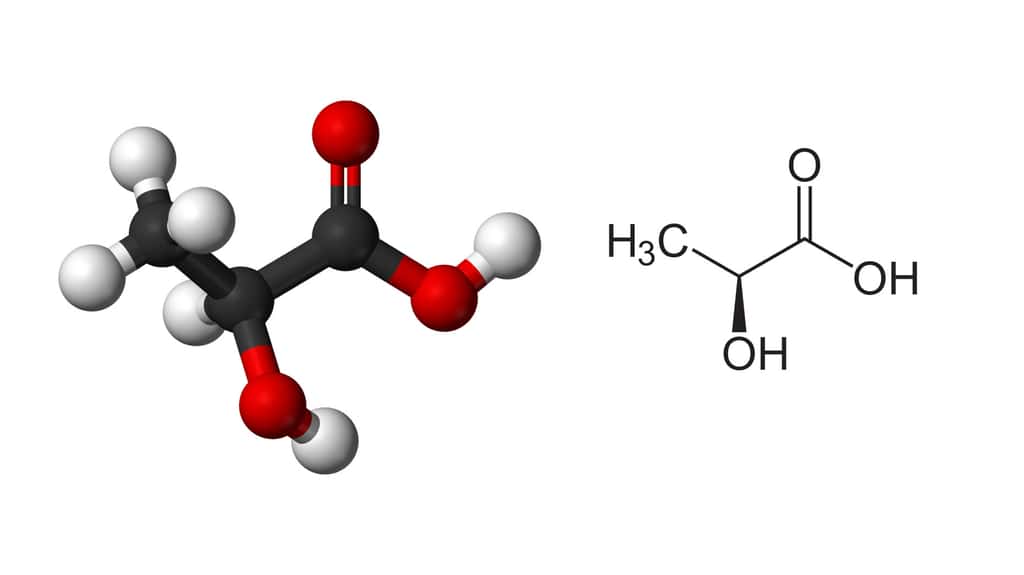 Le lactate est la forme ionique de l'acide lactique. © Benjah-bmm27, <em>Wikimedia commons,</em> DP