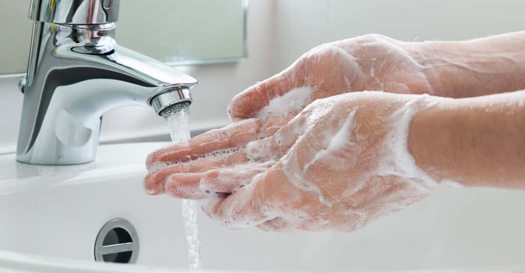 Bien se laver les mains. © Alexander Raths, Shutterstock
