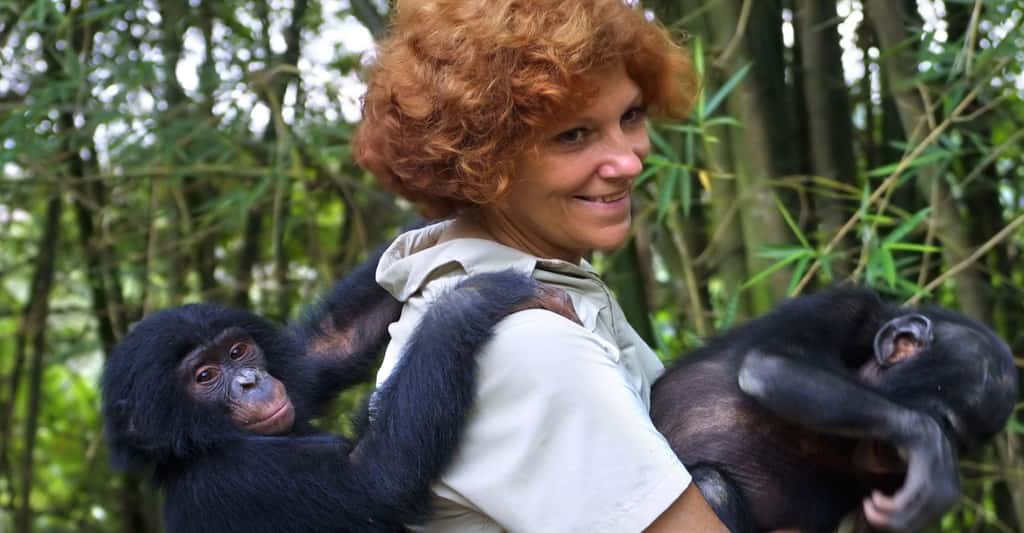 Claudine André avec de jeunes bonobos. © Claudine André, <em><a target="_blank" href="http://www.lolayabonobo.org/">Lola Ya Bonobo</a>, </em>tous droits réservés