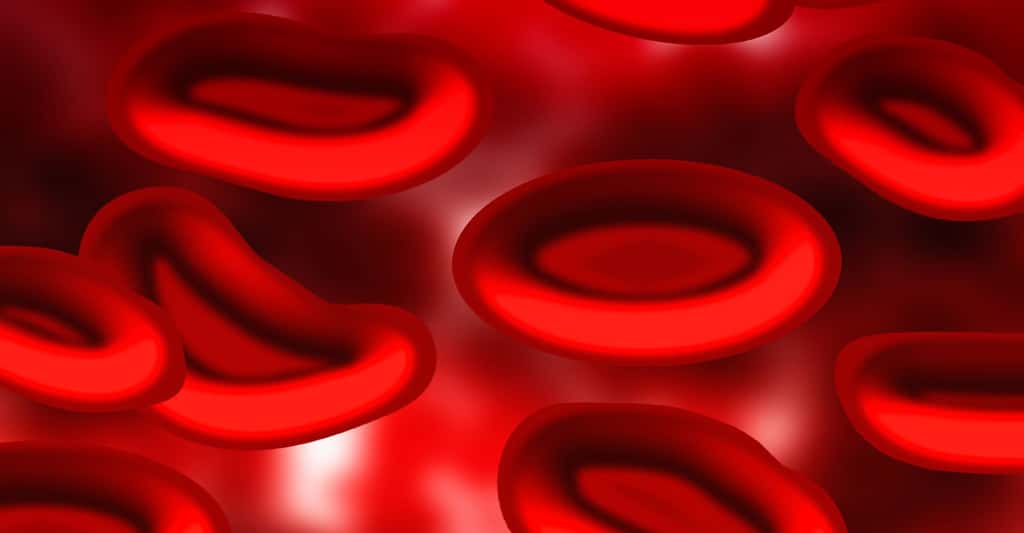 Recevoir une transfusion de sang est-il dangereux aujourd'hui ? © Geralt, Pixabay, DP