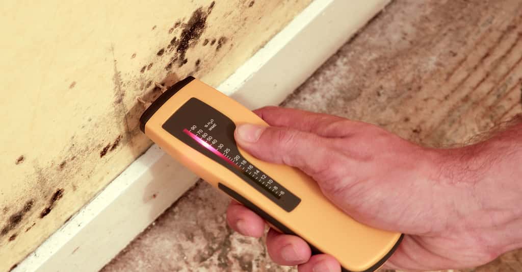 Comment lutter contre les remontées capillaires et éviter l'humidité de la maison ? Ici, test du taux d'humidité d'une cloison. © Fanchy, Fotolia