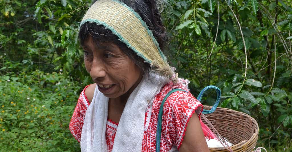 Les maladies apportées par les colons au Pérou