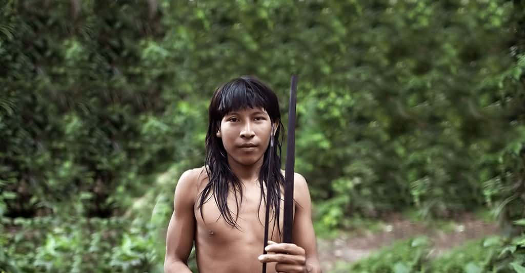 Les Awás, chasseurs-cueilleurs nomades de la forêt amazonienne