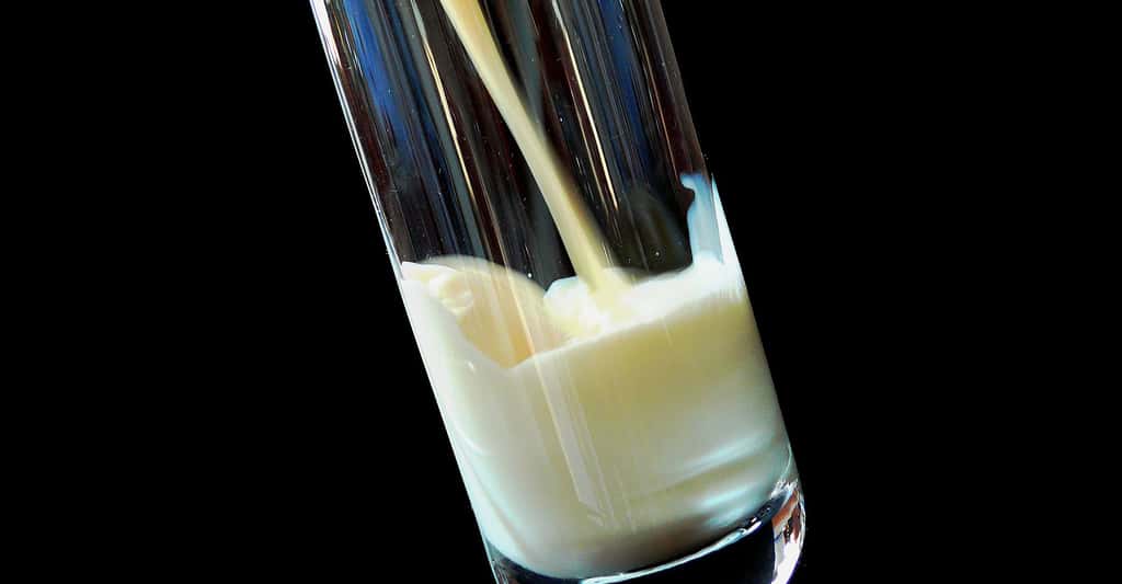 Verre de lait. © Moritz320, Pixabay, DP
