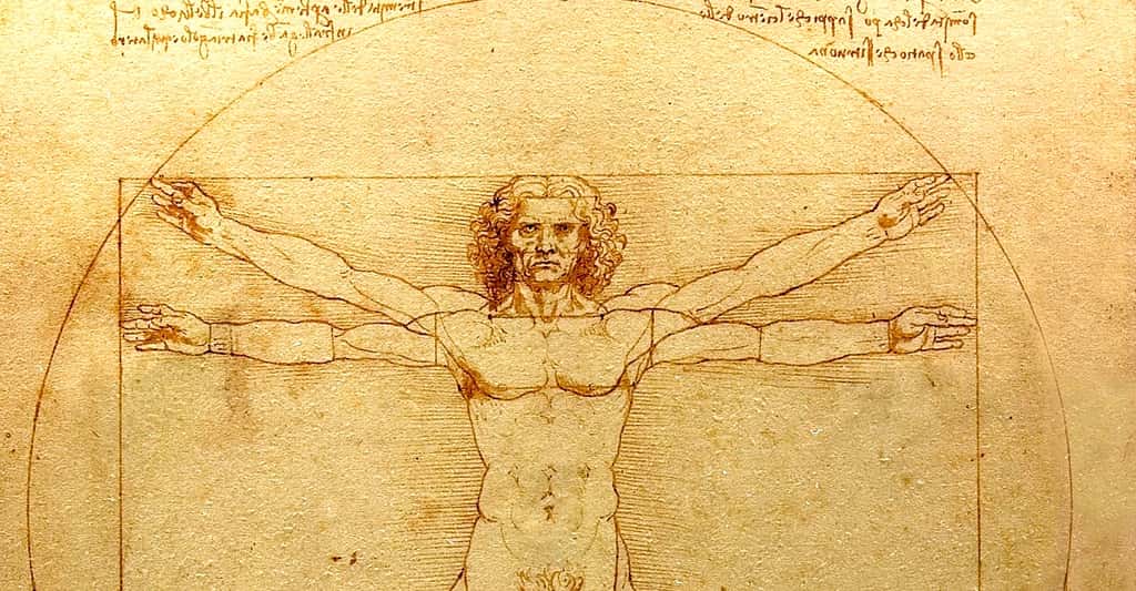 <br /><br />L'homme de Vitruve, par Léonard de Vinci. Les symétries se retrouvent dans de nombreuses disciplines scientifiques, mais aussi en philosophie. © Luc Viatour, <em>Wikimedia commons, </em>DP