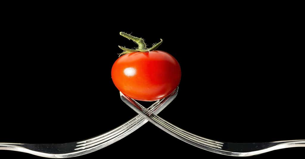 La tomate est excellente pour la santé. © Mauro B, CCO
