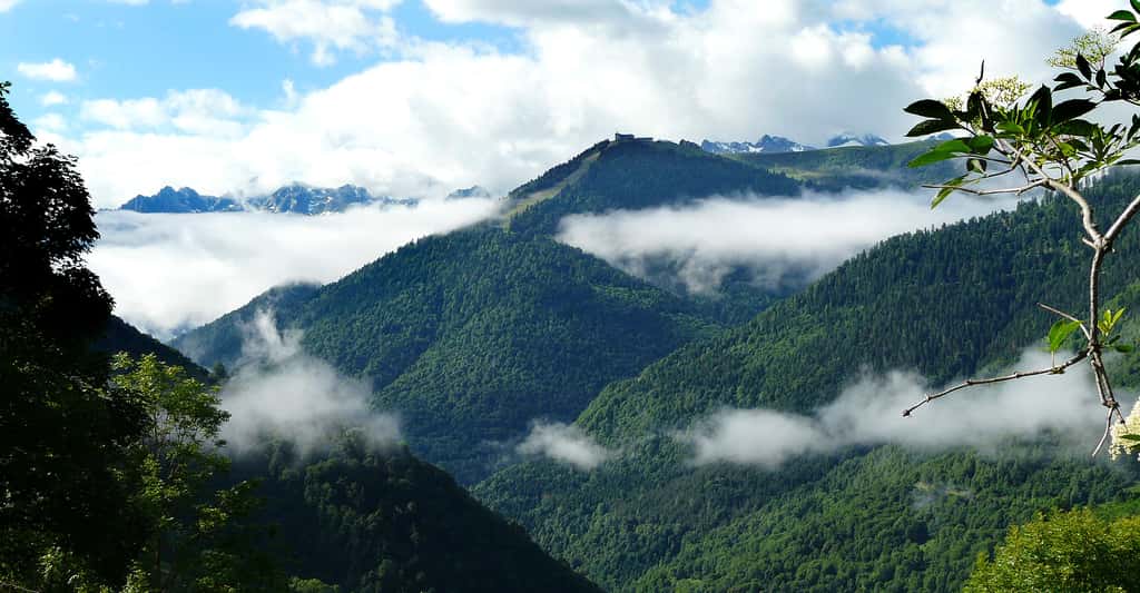 Les Pyrénées et Superbagnères vus depuis la route départementale 51a, au nord-ouest de Saccourvielle, Haute-Garonne, France. © Père Igor, <em>Wikimedia,</em> CC by-sa 3.0