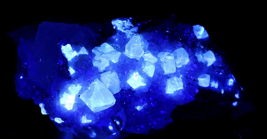 Comment fonctionnent la phosphorescence et la fluorescence chez les minéraux ? Ici, cristaux de scheelite sous ultraviolets (UV). © Parent Géry, CC0