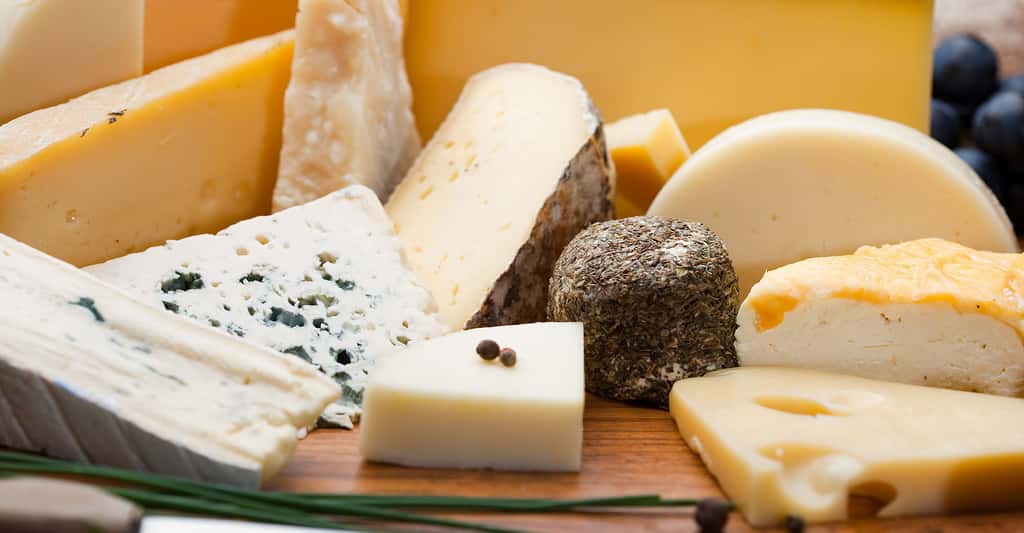 Quelles sont les étapes de la fabrication du fromage ? © Chlorophylle, Fotolia