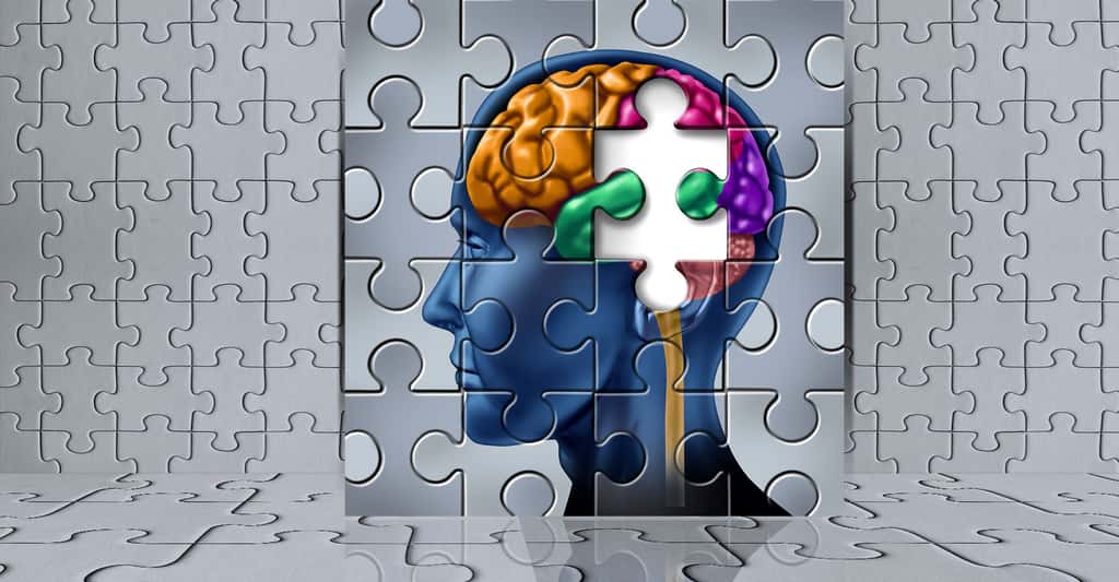 Les programmes d’entraînement cérébral et la mémoire