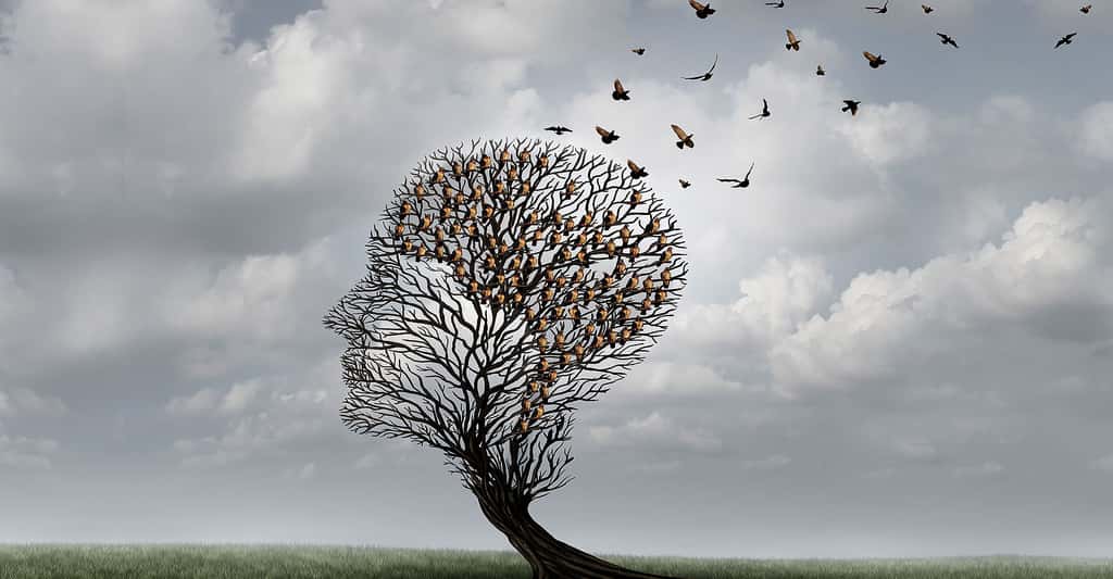 Les troubles de la mémoire comme l'amnésie, comment les guérir ? © Lightspring, Shutterstock