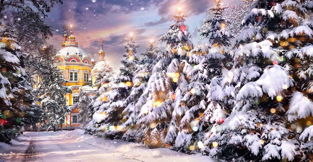 Sapins de Noël couverts de neige en Russie. © Pikoso.kz, Shutterstock