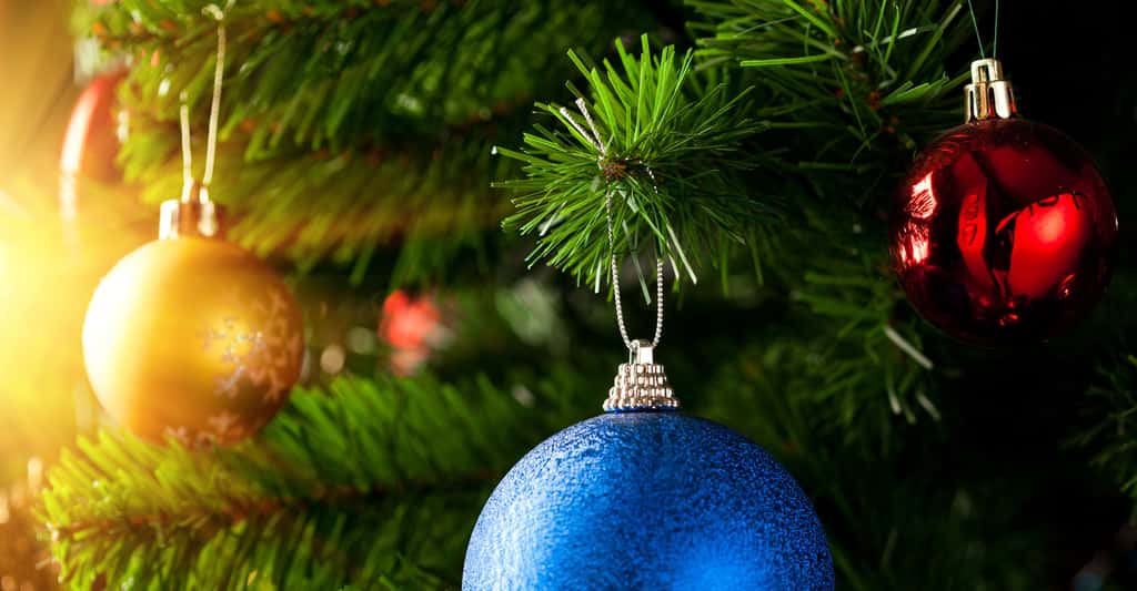 Décorations de Noël. © Nikkytok, Shutterstock
