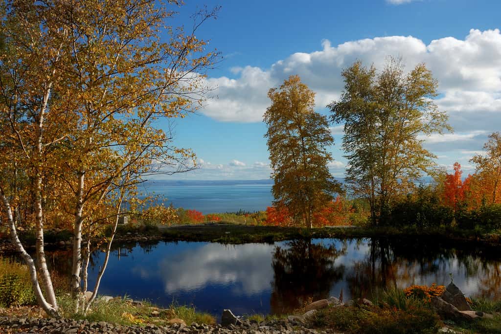 Nature sauvage dans les environs de Charlevoix, au Québec. Cette région naturelle a été reconnue en 1988 comme réserve de biosphère par le programme L'Homme et la biosphère de l'Unesco. © Mélanie Plante, cc by 2.0