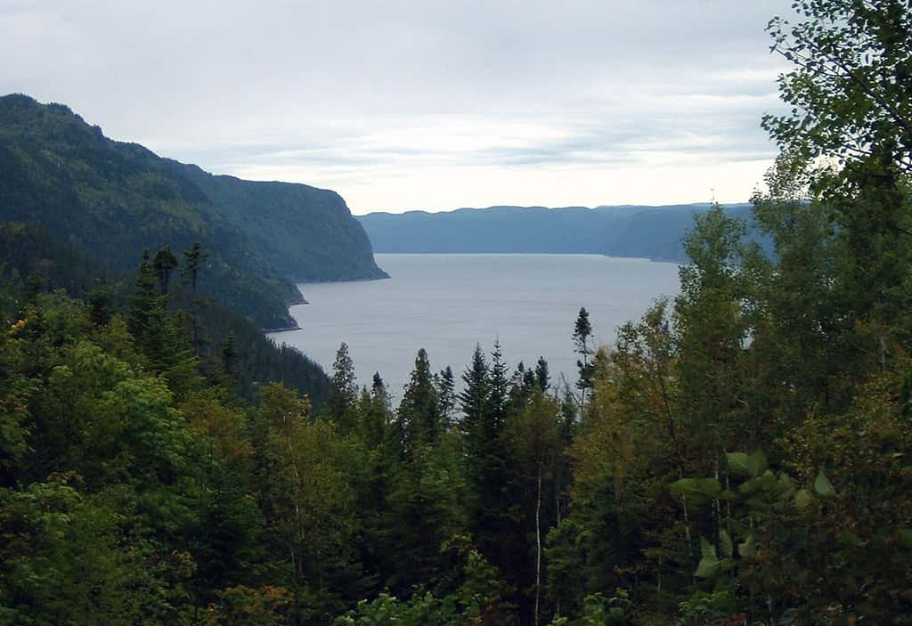 Fjord du Saguenay, vu de l'anse de Tabatière. © Fralambert, GNU 1.2