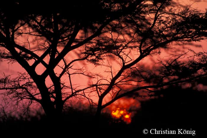 Coucher de soleil en Namibie. Les nuits peuvent être particulièrement fraîches dans la région. © Christian König, DR