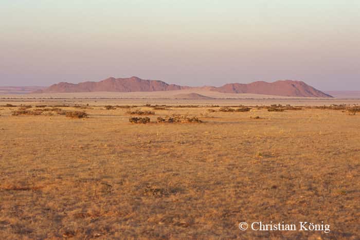 Solitaire est une petite localité du centre de la Namibie à proximité du parc national de Namib-Naukluft. Elle comprend actuellement une station d'essence, un bureau de poste, et le seul magasin (alimentation générale et drugstore) entre les dunes de Sossusvlei, la côte à Walvis Bay et la capitale Windhoek. © Christian König, DR