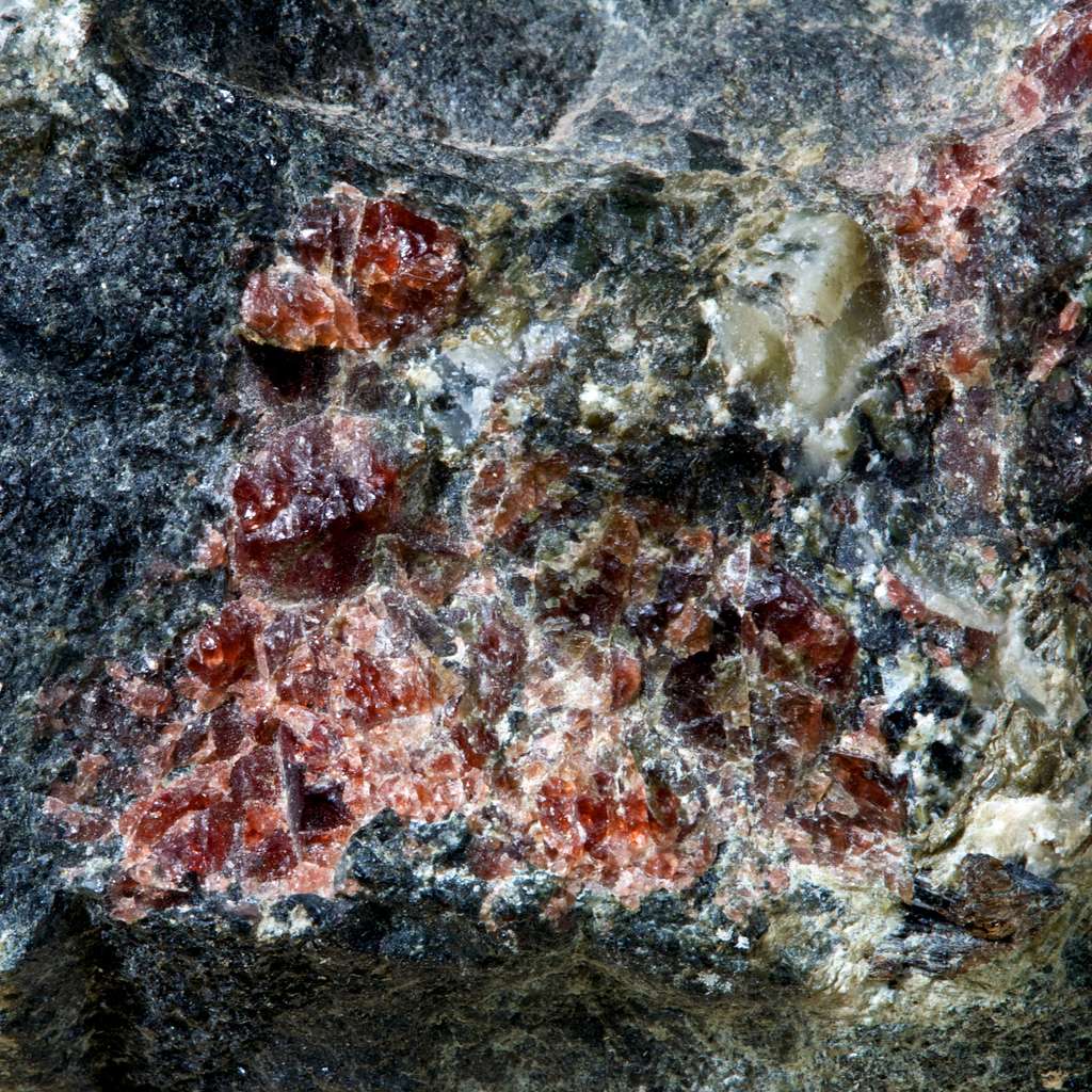 Au sud de Lüderitz, une partie de fond océanique, une ophiolite, est prise dans l'orogenèse et forme la montagne noire, basaltes de fonds marins métamorphisés en amphibolite avec grenats. Ici, une amphibolite avec grenats de Bjordammen, en Norvège, issue de la collection Keele. © Hypocentre, Flickr, CC by-nc-sa 2.0