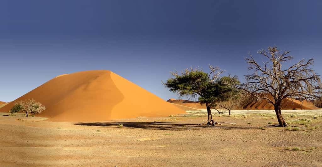 Dunes de Sossusvlei - Namibie. © Damien du Toit,  CC BY 2.0