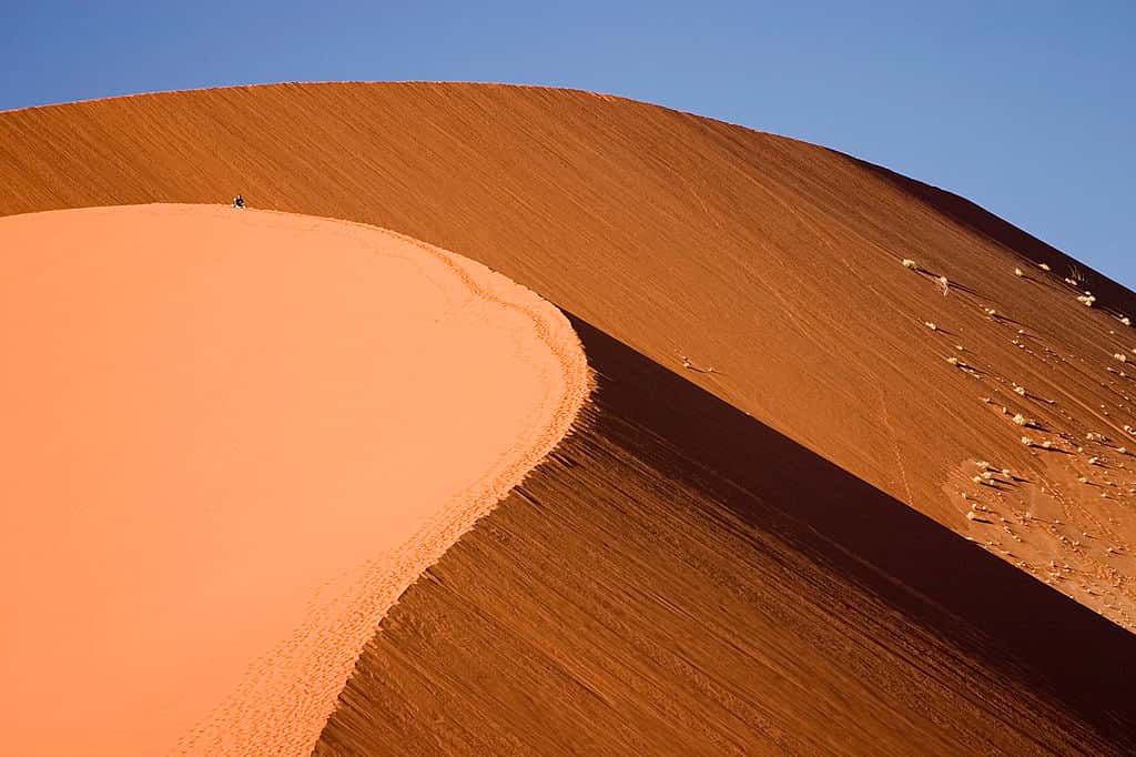 Au cours de son voyage en Namibie, qui dura près de cent jours, Claire König a croisé de nombreuses dunes comme celle-ci, située au sein de la région de Sossusvlei, dans le parc national de Namib-Naukluft. © Luca Galuzzi, Wikimedia Commons, CC by-sa 2.5