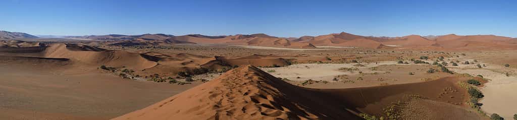 Vue panoramique des dunes de Sossusvlei dans le désert du Namib, en Namibie. © Hans Hillewaert, Wikimedia Commons, CC by-sa 3.0