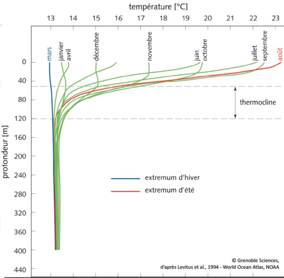 Distribution de température en Méditerranée en fonction de la profondeur, avec mise en évidence de la thermocline et de ses variations saisonnières. © D’après Levitus <em>et al</em>., 1994, <em>World Ocean Atlas</em>, NOAA