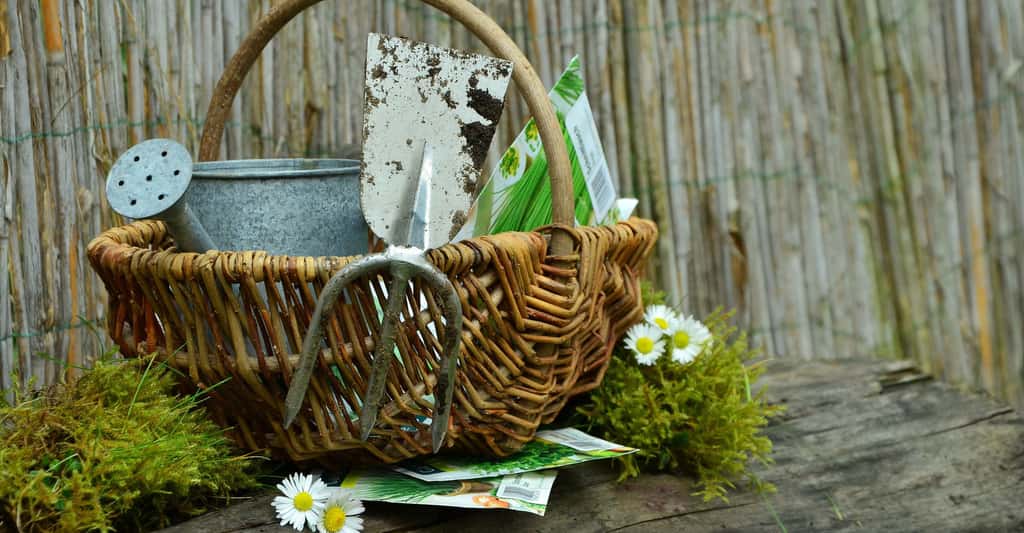 Les outils pour bien entretenir votre jardin. © Congerdesign, Pixabay, DP