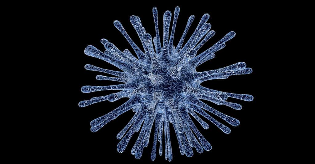 Cellule infectée. © PublicDomainPictures, Pixabay, DP