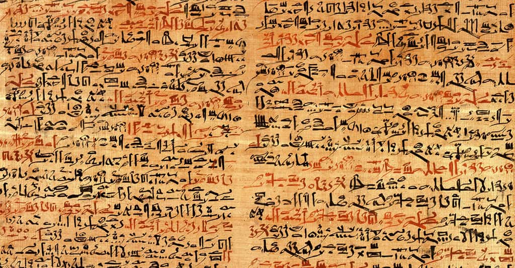 Fragment du papyrus chirurgical Edwin Smith traitant des traumatismes de la face.© Grook Da Oger, <em>Wikimedia commons,</em> DP