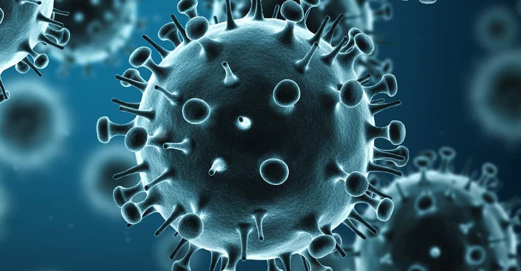 Virus de la grippe. © Dreamerb, Shutterstock