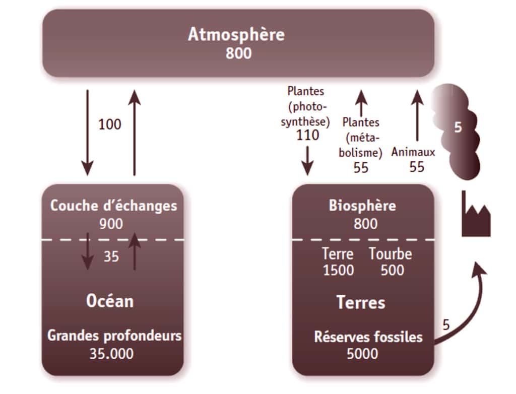 Réservoirs de carbone (sous forme de rectangles sans échelle, en 10<sup>12</sup> kg) et flux de carbone (sous forme de flèches, en 10<sup>12</sup> kg/an) impliqués dans le réchauffement climatique. © EDP Sciences
