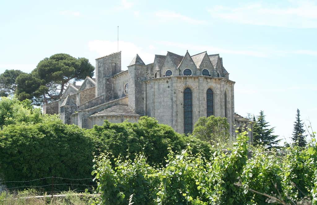 L'abbaye de Vignogoul. © Fagairolles34, CC by-sa 2.5