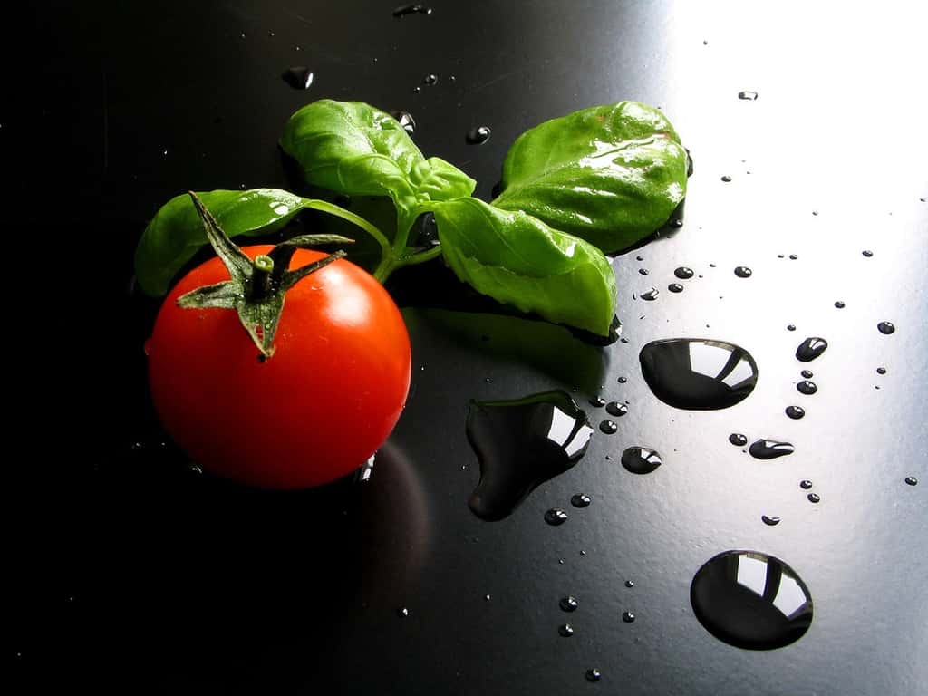 Basilic et tomate, un heureux mariage. © Giuseppe Bognanni, CC by-nc 2.0