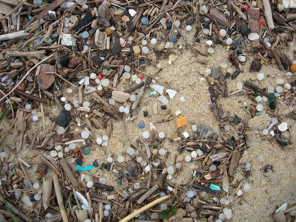 Granulés plastique industriels ou « larmes des sirènes » de couleurs blanche, ambrée, noire, rouge que l'on trouve sur la plage de la côte Aquitaine (réserve naturelle nationale). © Maldeseine, CC by-nc 3.0