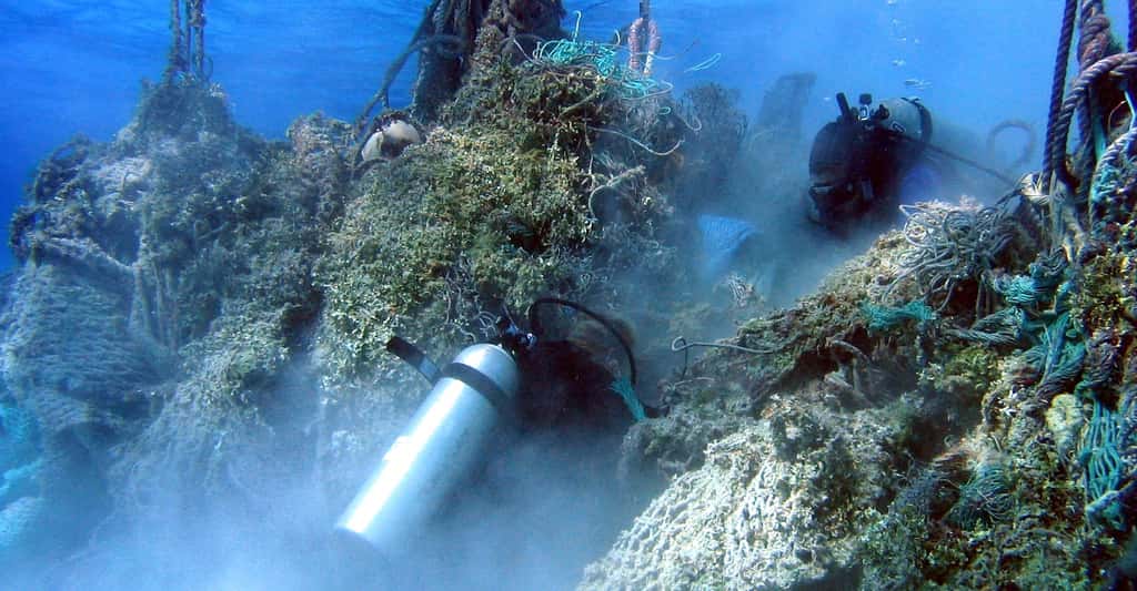 Quels sont les effets du plastique sur les animaux et l'environnement ? Ici, filets pris dans les récifs coralliens. © Dwayne Meadows, NOAA/NMFS/OPR, CC by-nc 2.0